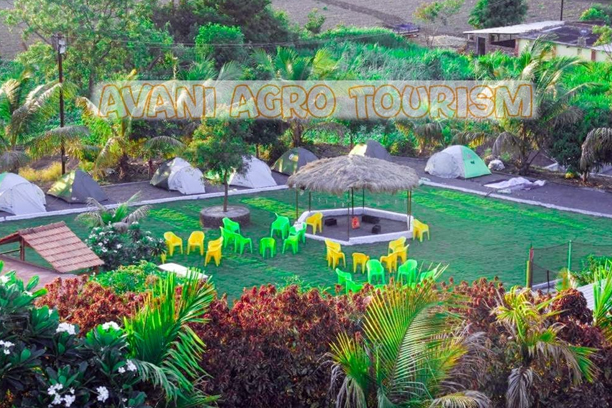 Monsoon Magic Green Escapes