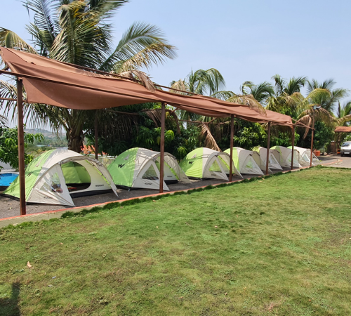 School Day Trip to Avani Agro Tourism in PCMC Pune