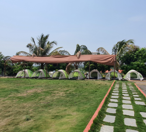 School Day Trip to Avani Agro Tourism in PCMC Pune